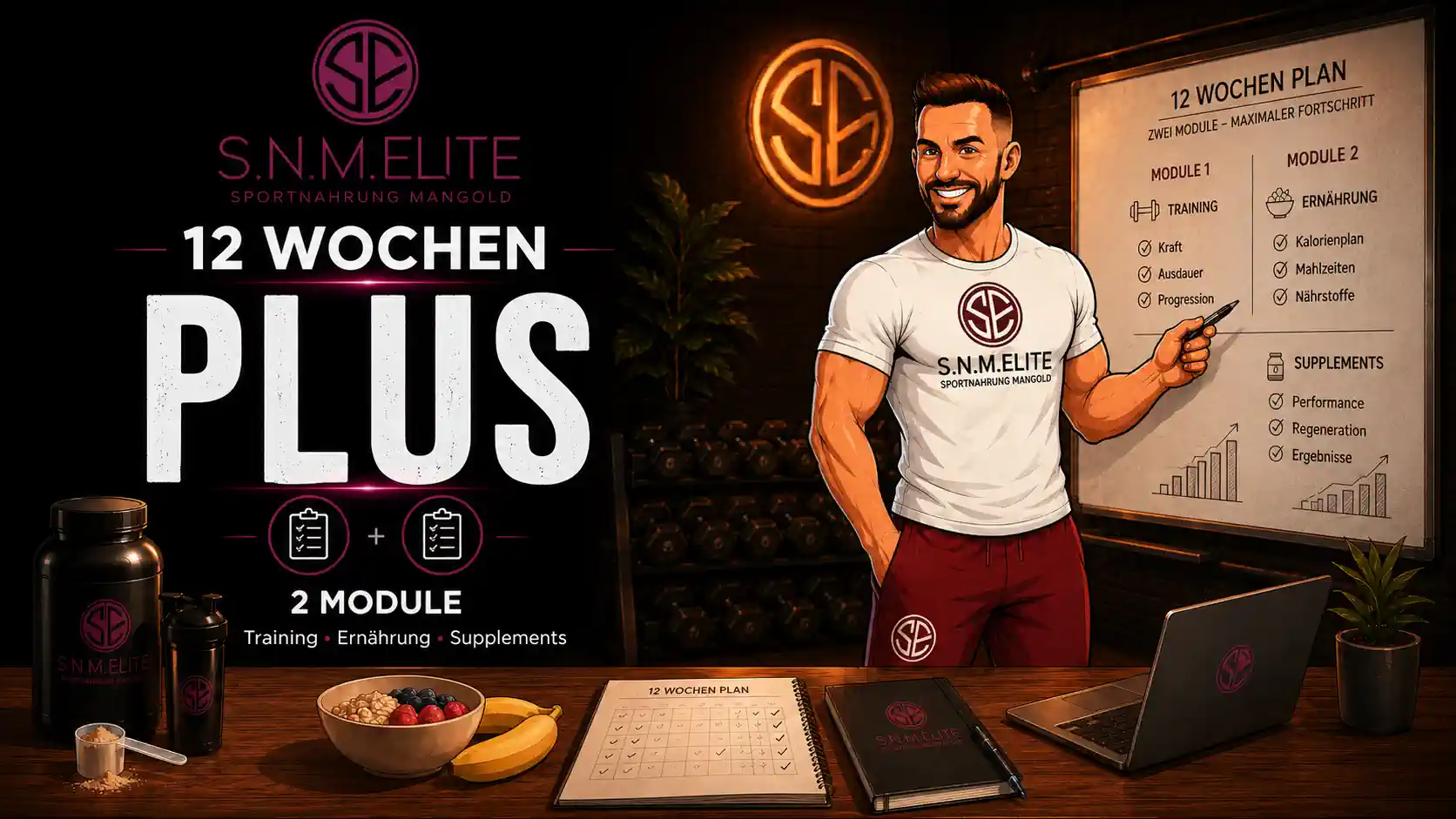 S.N.M. Elite – 12 Wochen Plus – 2 Module deiner Wahl – 199 €