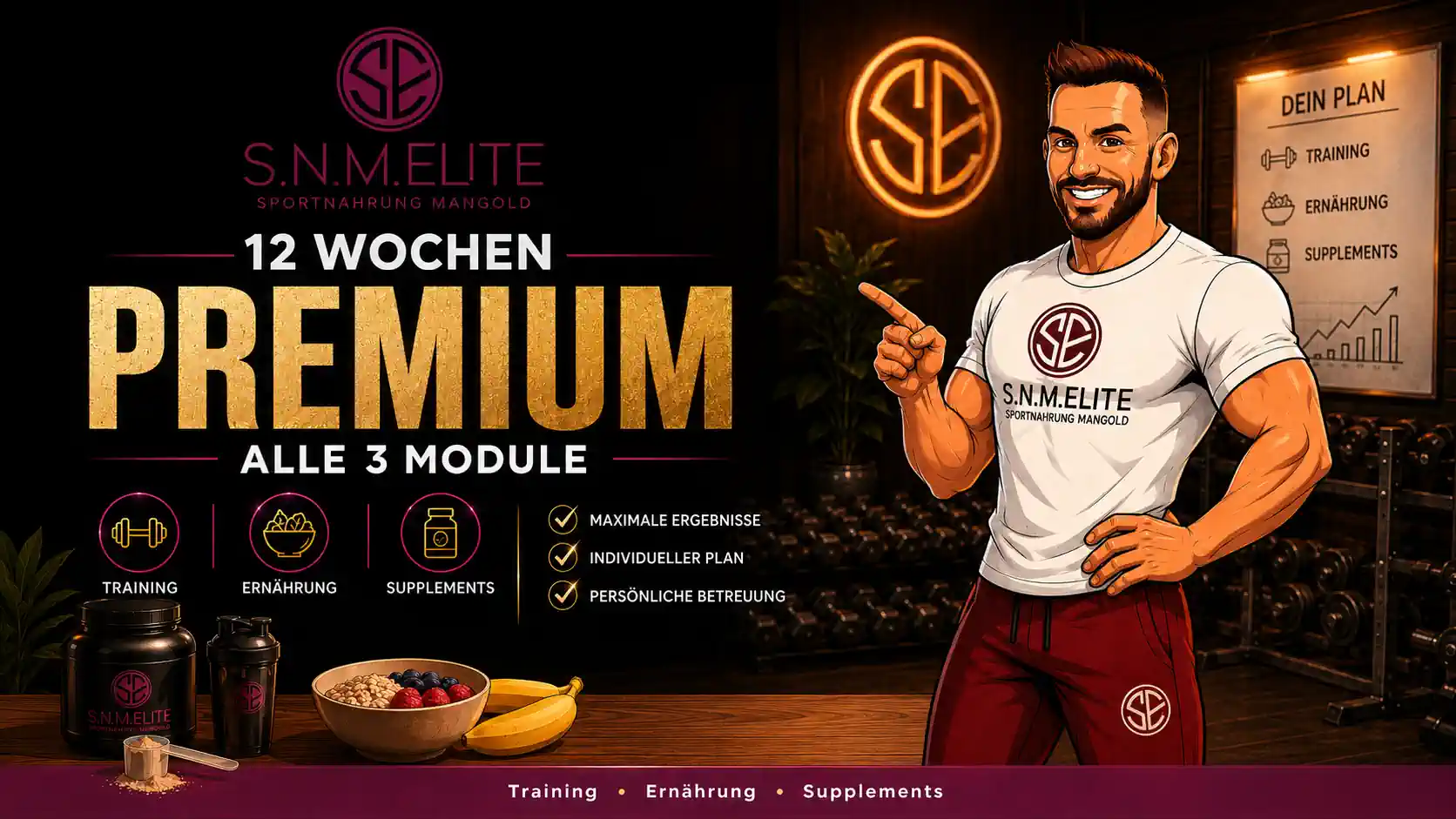 S.N.M. Elite – 12 Wochen Premium – Alle 3 Module – 249 €