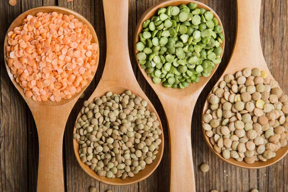 Vegan